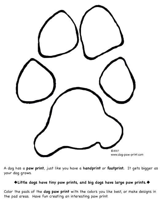 Coloring The dog track. Category Animal tracks. Tags:  traces , dog, paws.