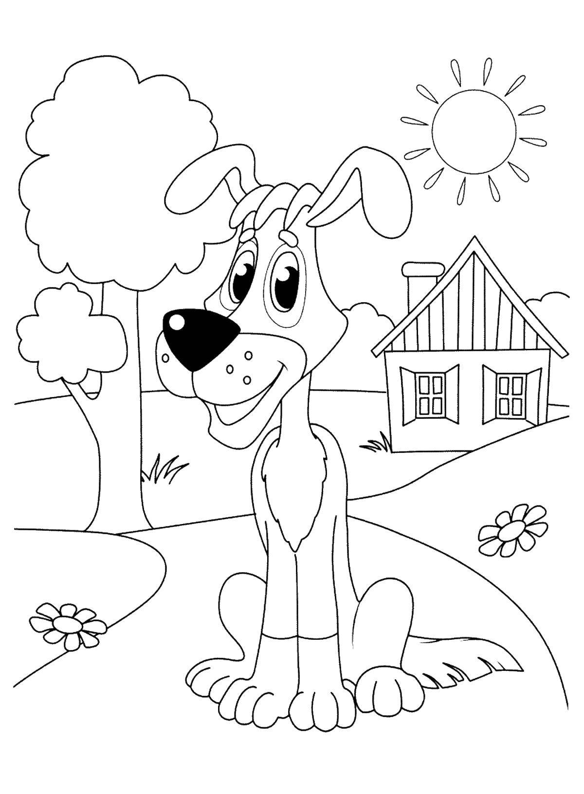Coloring Dog. Category the village. Tags:  village, dog, house.