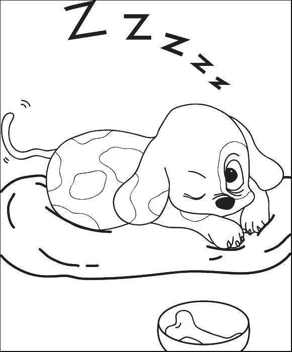 Название: Раскраска Собака на подушке и миска. Категория: Сон. Теги: собака, подушка, миска, кость.