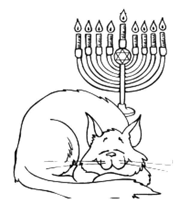 Название: Раскраска Спящая кошка и свечи. Категория: Сон. Теги: кошка, свечи, сон.