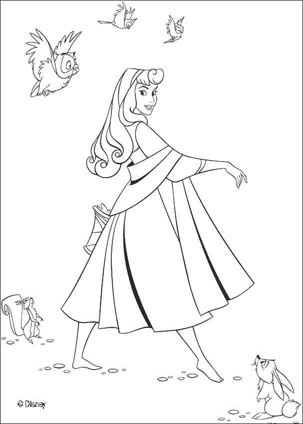 Coloring Sleeping beauty and animals. Category Disney cartoons. Tags:  Aurora, Bunny, squirrel, birds.