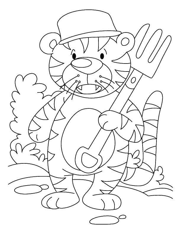Название: Раскраска Тигр с граблей. Категория: раскраски. Теги: тигр, шляпа, грабли.