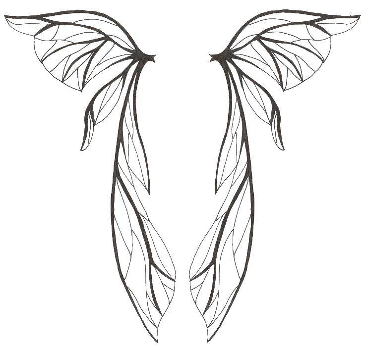 Название: Раскраска Тонкие крылышки. Категория: раскраски. Теги: крылья, крылышки.