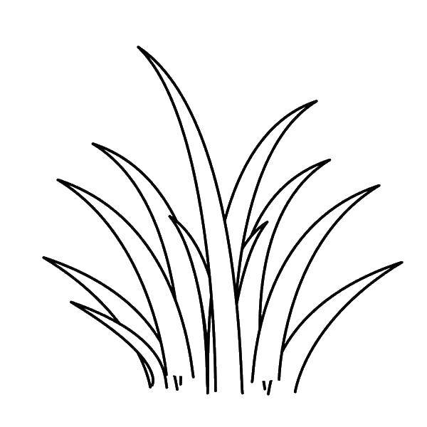 Название: Раскраска Трава. Категория: Контуры травы для вырезания. Теги: трава, растения.