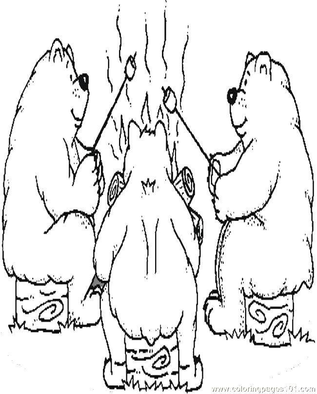 Название: Раскраска Три медведя и костер. Категория: Отдых на природе. Теги: медведи, пеньки, костер.
