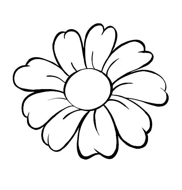 Coloring Flower petals. Category The contours of the flower to cut. Tags:  flower, petal.
