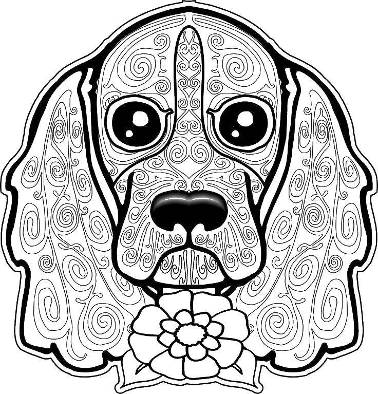 Coloring Flower and dog. Category dogs. Tags:  dog, flower, patterns.