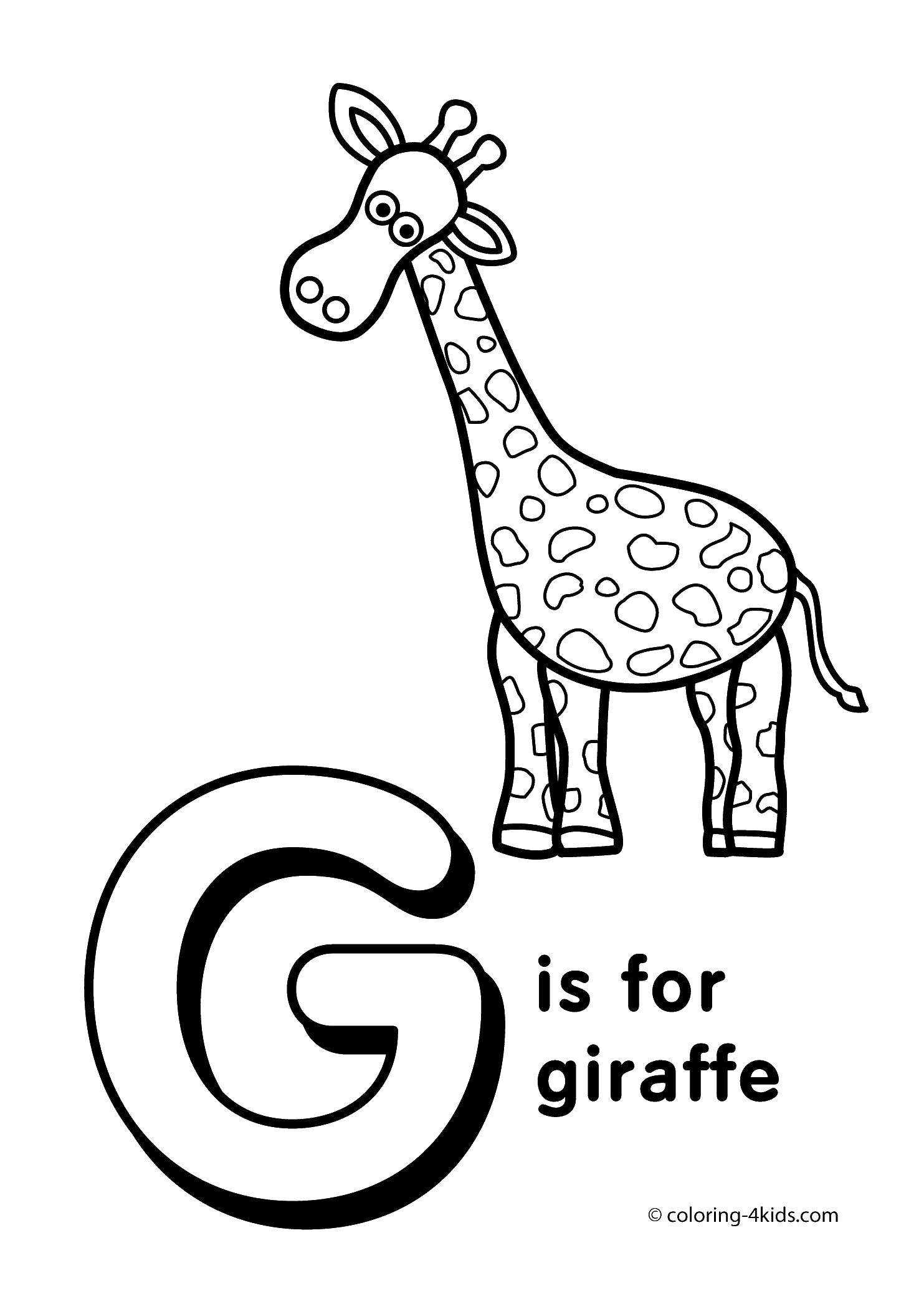 Название: Раскраска Жираф и буква. Категория: животные. Теги: жираф, шея, буква.