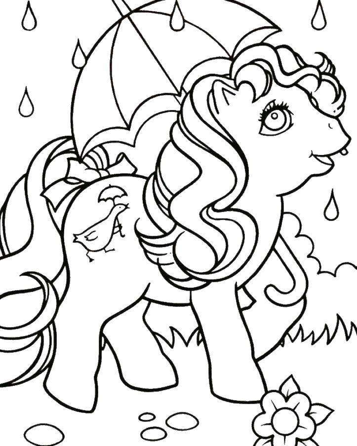 Название: Раскраска Зонтик и пони. Категория: мой маленький пони. Теги: пони, зонтик, дождь.