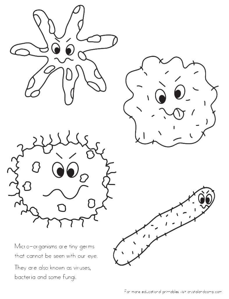 Название: Раскраска Бактерии.. Категория: раскраски. Теги: микробы, бактерии, грязь.