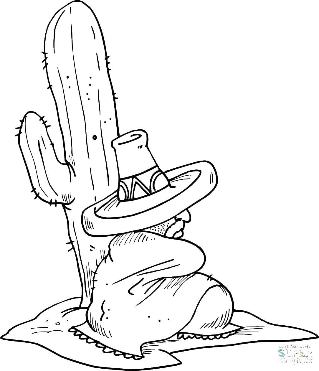 Coloring Wild West. Category Desert. Tags:  desert, cactus, wild West.