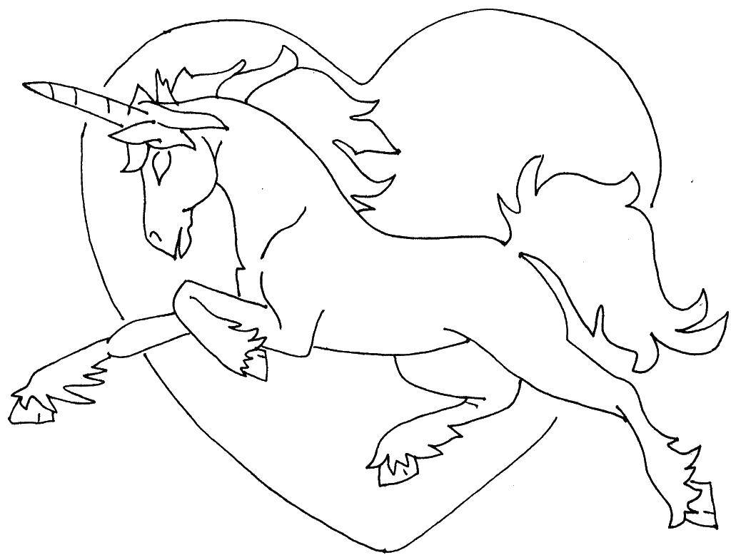 Coloring Unicorn and heart. Category coloring. Tags:  heart, unicorn, tail.