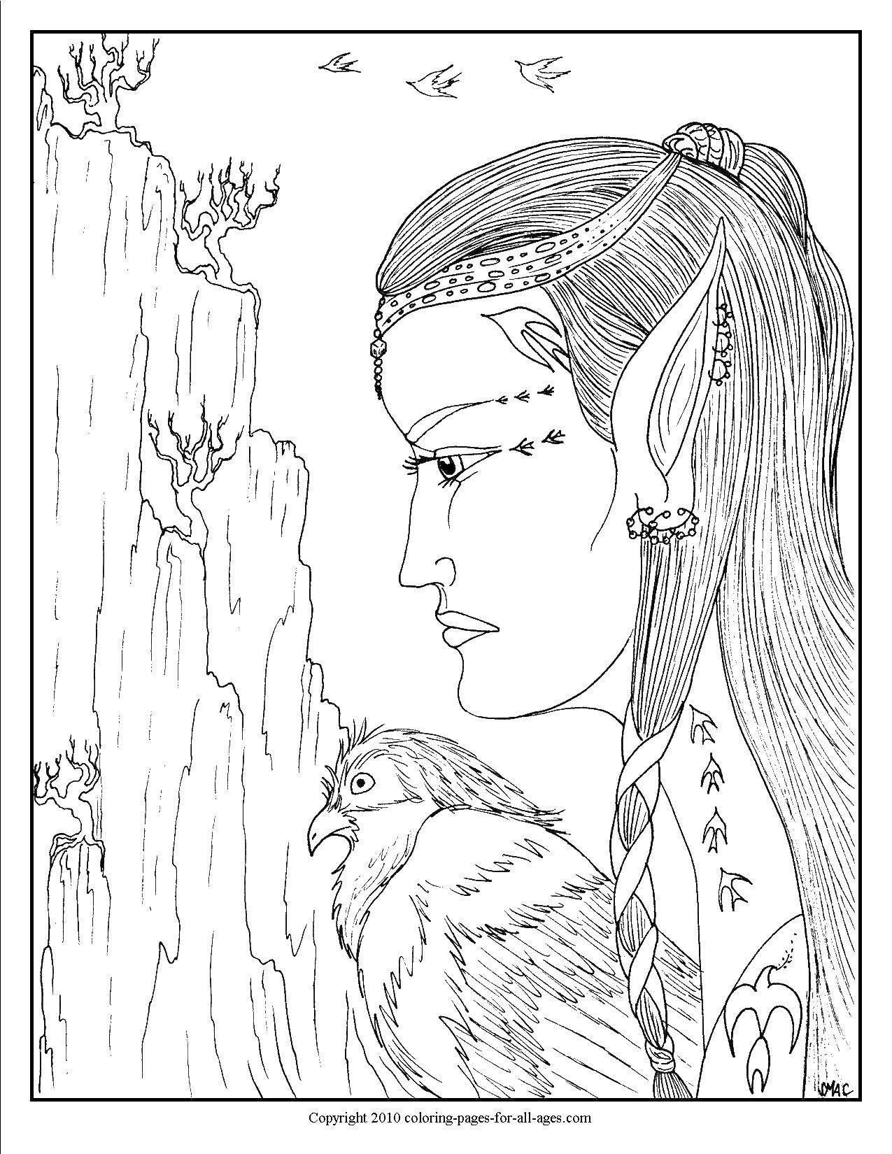 Coloring Elf with a bird. Category coloring pages for girls. Tags:  elf, bird, Falcon.
