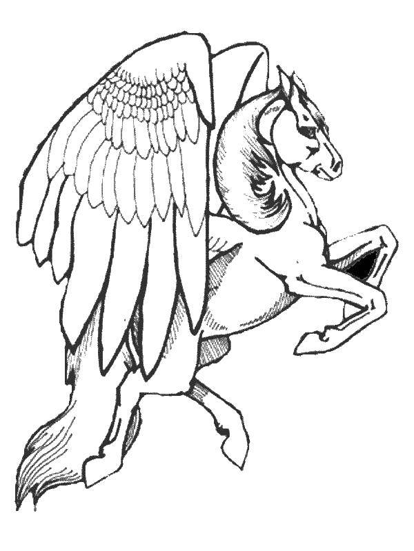 Название: Раскраска Конь и большие крылья. Категория: раскраски. Теги: конь, крылья.