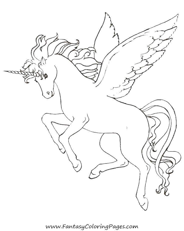 Название: Раскраска Конь с крылышками. Категория: раскраски. Теги: единорог, крылья, хвост.
