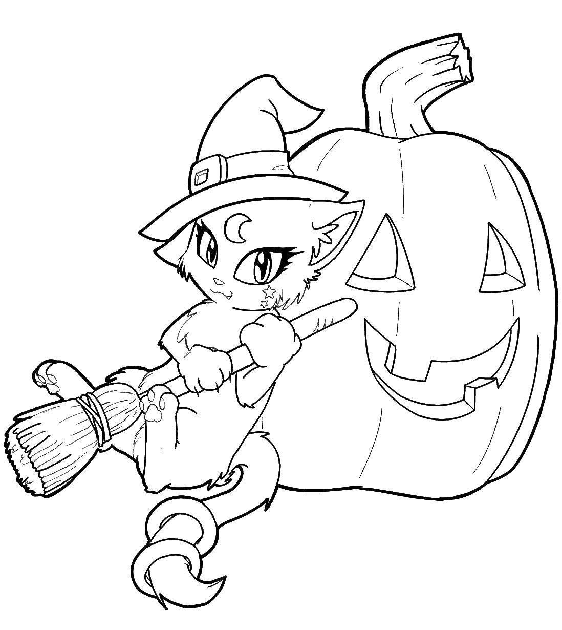 Coloring Cat and pumpkin. Category The cat. Tags:  cat, pumpkin, witch, Halloween.