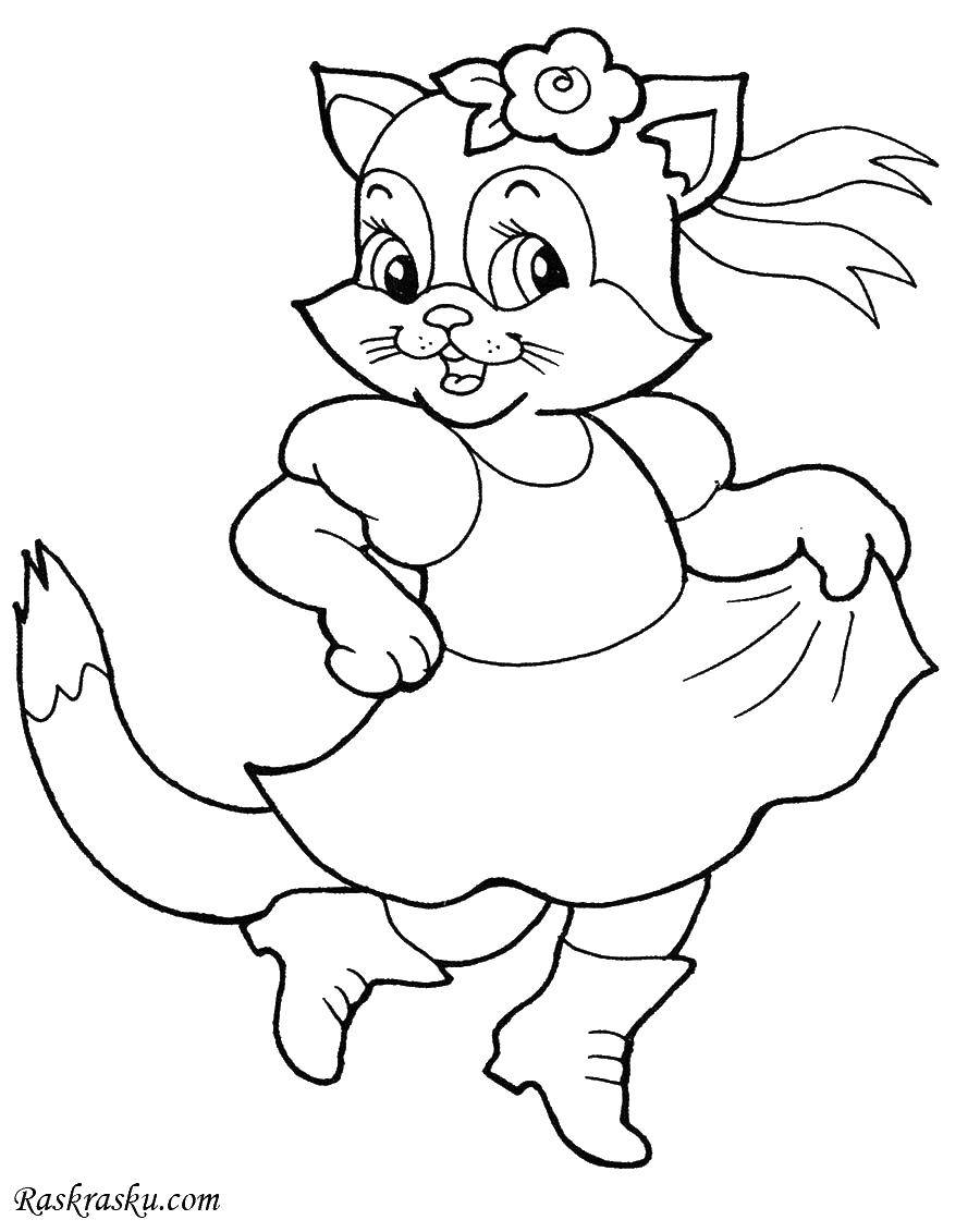 Coloring Cat in a dress. Category seals. Tags:  cat, dress, boots, flower.