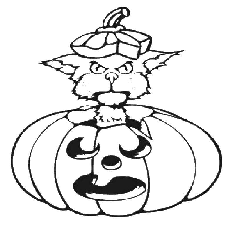 Coloring Cat and pumpkin. Category pumpkin Halloween. Tags:  pumpkin, Halloween, cats, cat.