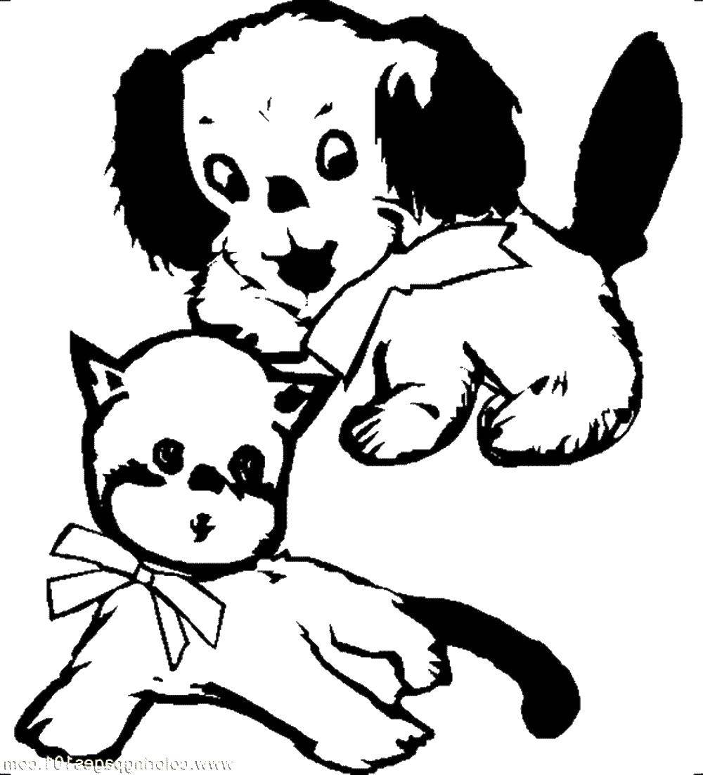 Название: Раскраска Котенок и щенок в бантике. Категория: котята и щенки. Теги: котенок, щенок, бантик.