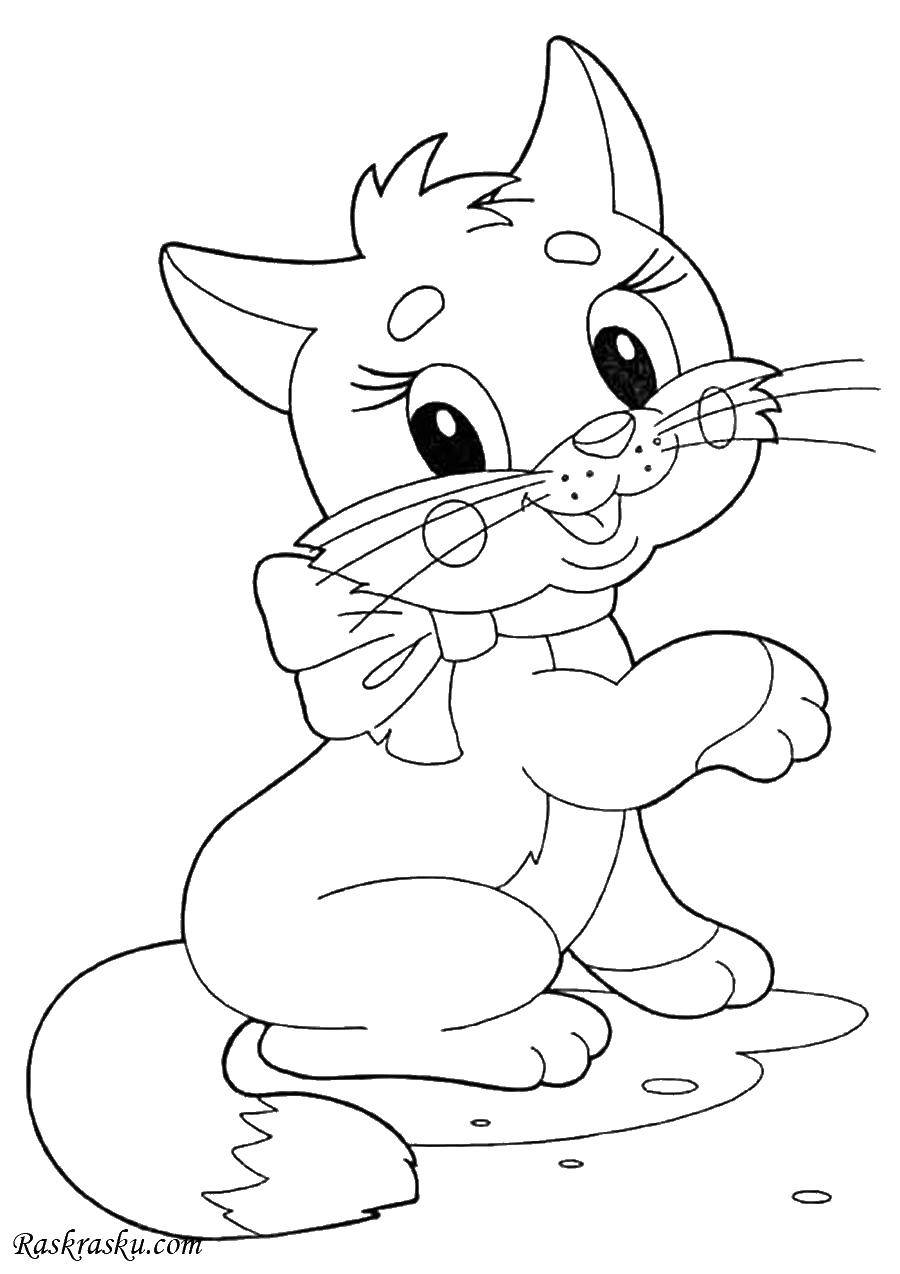 Coloring Kitten with bow. Category seals. Tags:  kitty, bow, ponytail.