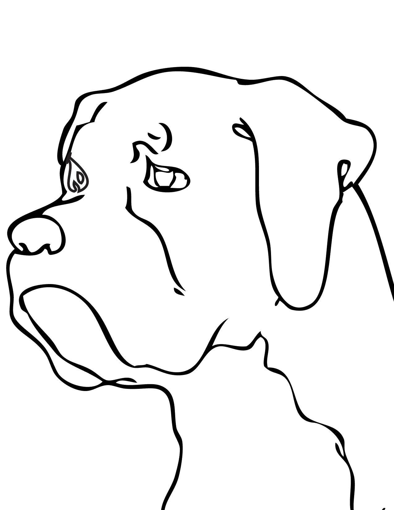 Coloring Beautiful face. Category Animals. Tags:  Animals, dog.
