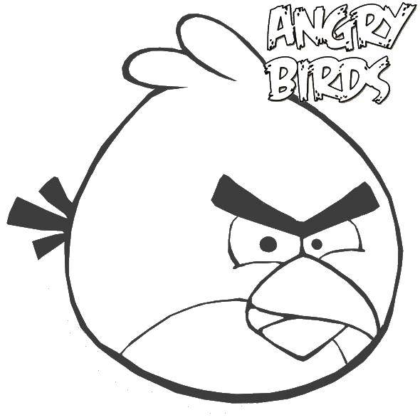 Название: Раскраска Круглая птичка из angry birds. Категория: angry birds. Теги: angry birds, птица.