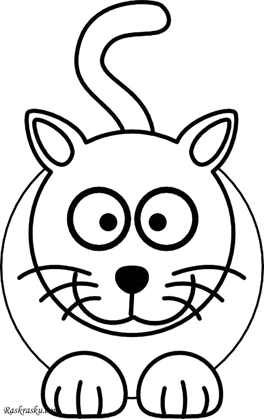 Coloring Round cat. Category seals. Tags:  cat, circle, tail.