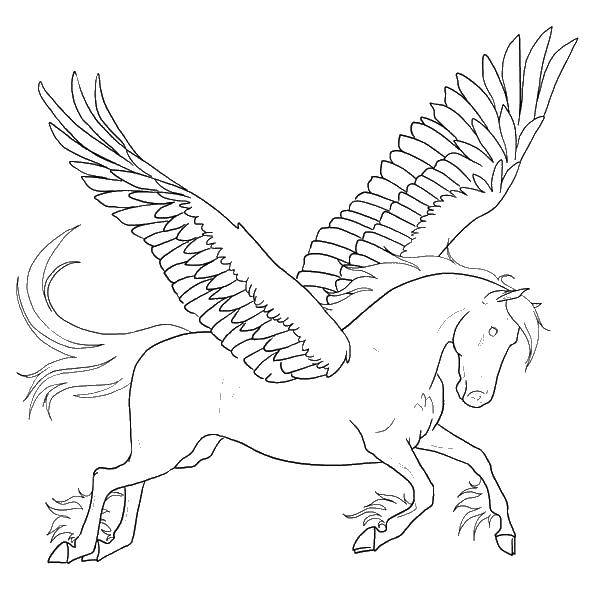 Coloring The winged horse. Category coloring. Tags:  horse, wings.
