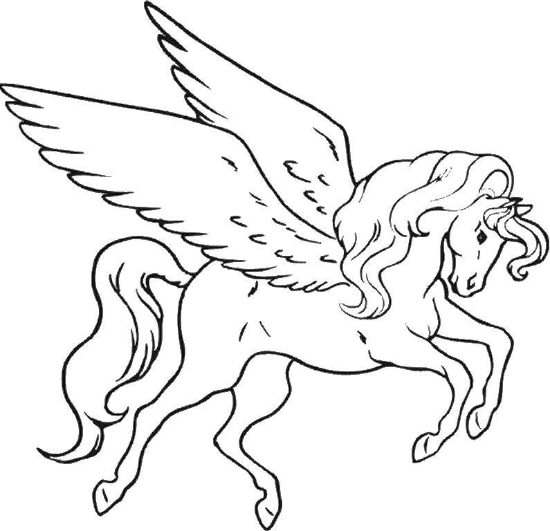 Название: Раскраска Крылатый конь и длинный хвост. Категория: раскраски. Теги: конь, крылья.