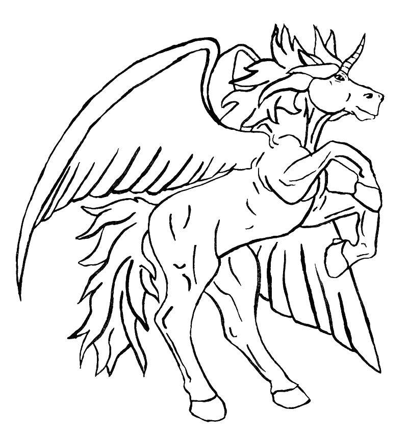 Название: Раскраска Крылья и конь с рогом. Категория: раскраски. Теги: единорог, крылья, хвост.