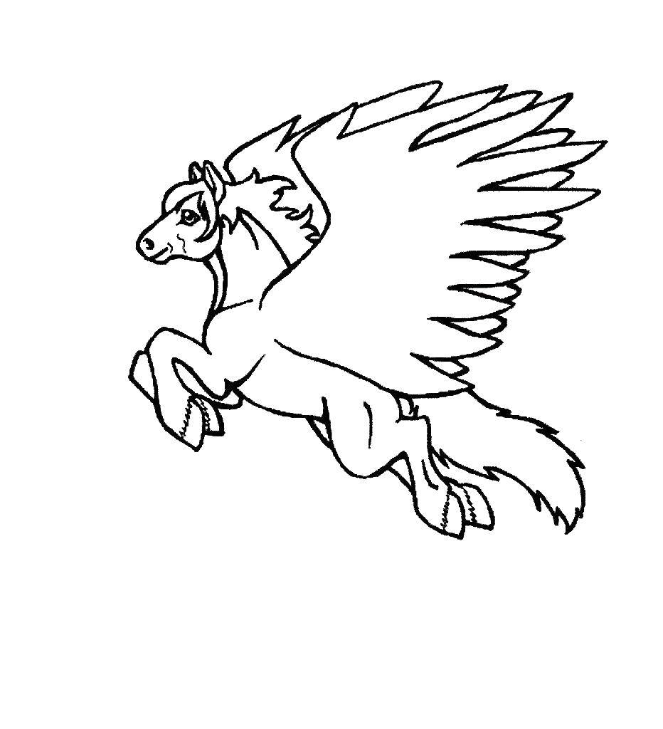Название: Раскраска Крылья и пегас. Категория: раскраски. Теги: конь, крылья.