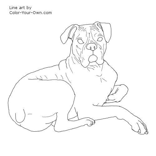 Coloring Recumbent dog. Category dogs. Tags:  Animals, dog.