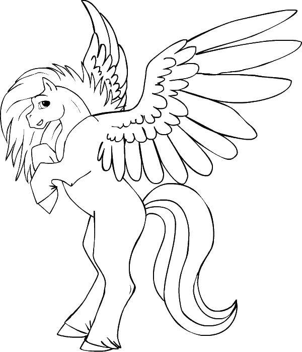 Название: Раскраска Лошадка и крылья. Категория: раскраски. Теги: конь, крылья.