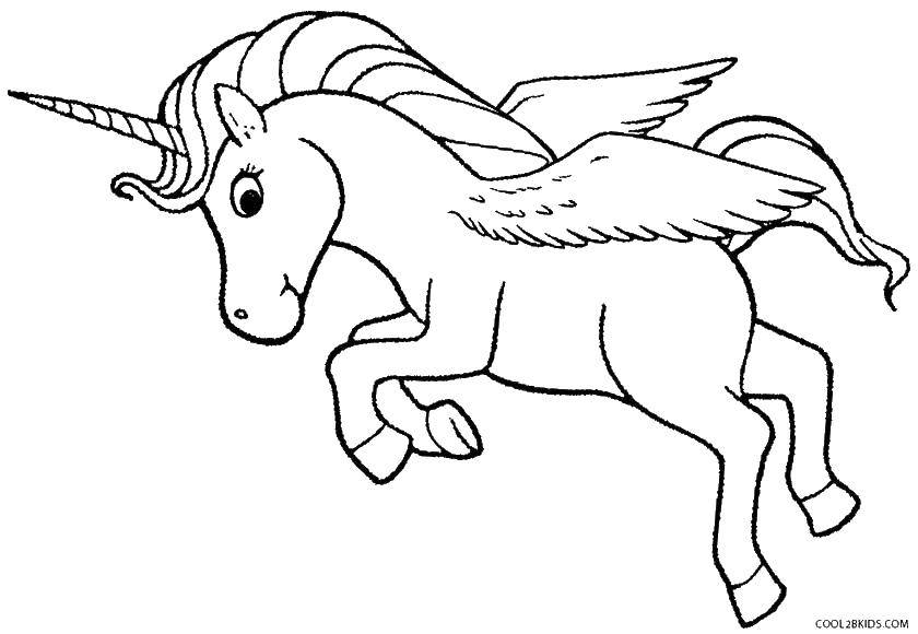 Coloring Little unicorn and the wings. Category coloring. Tags:  horse, wings.