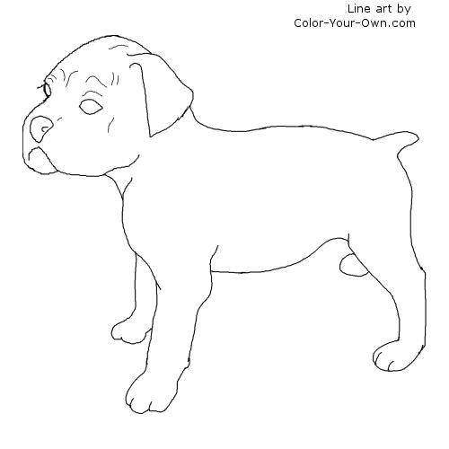 Coloring Little puppy. Category Animals. Tags:  Animals, dog.