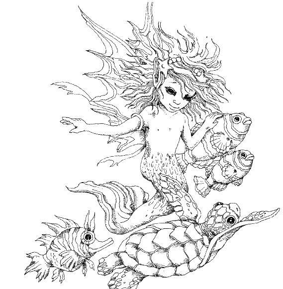 Coloring Little mermaid. Category Fantasy. Tags:  Mermaid.