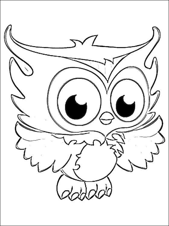Coloring Baby owl. Category coloring. Tags:  Birds, owl.