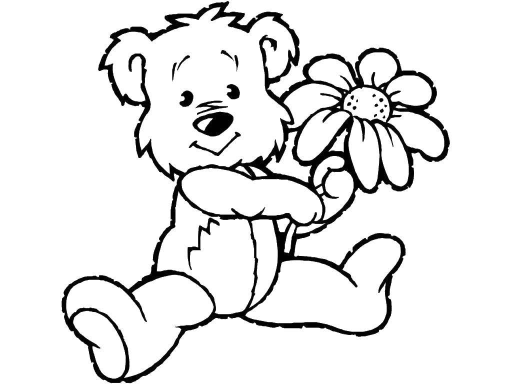 Название: Раскраска Мишка взял цветок. Категория: игрушка. Теги: Игрушка, медведь.