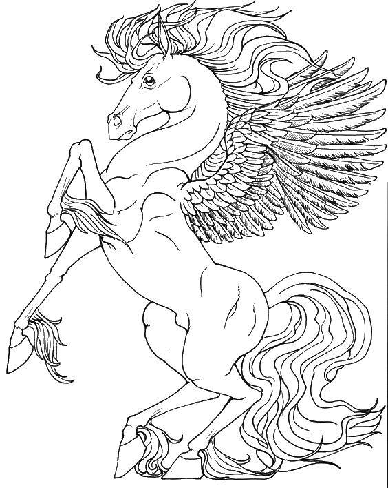 Coloring The mighty Pegasus. Category coloring. Tags:  Magic create.