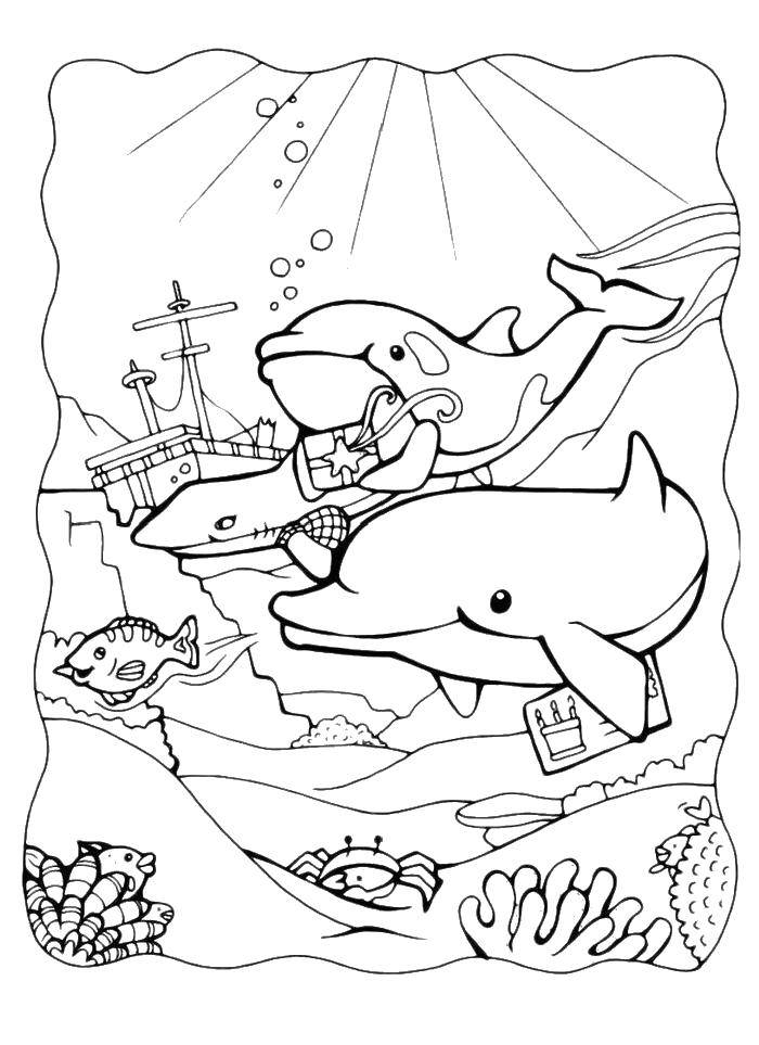 Название: Раскраска Морские обитатели у корабля. Категория: морское. Теги: Подводный мир.