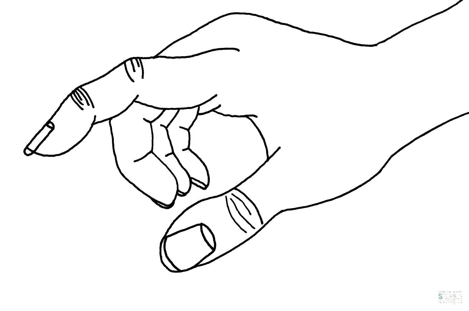 Coloring Fingers and nails. Category The contour of the hands and palms to cut. Tags:  fingers, nails, palm.