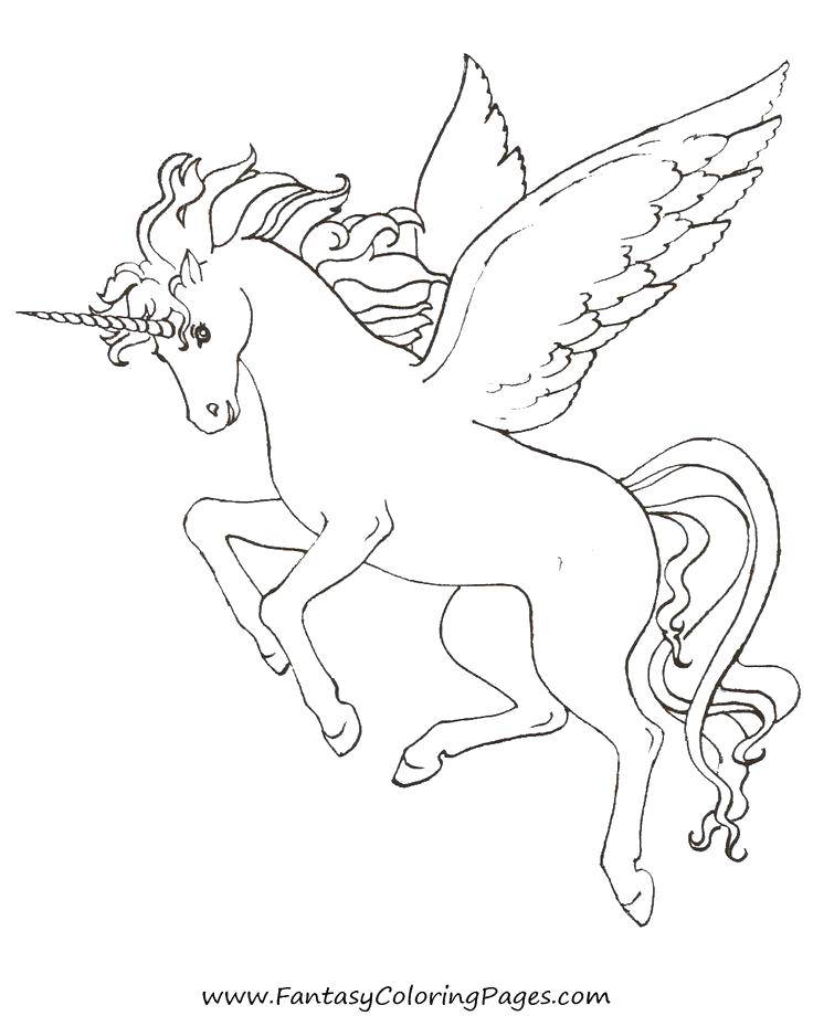 Coloring Pegasus unicorn. Category coloring. Tags:  Magic create.