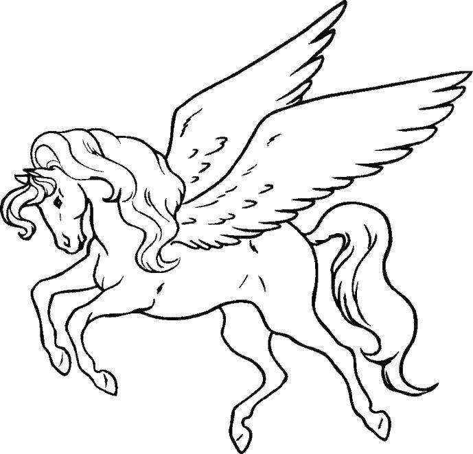 Coloring Pegasus flies. Category coloring. Tags:  the Pegasus, wings.