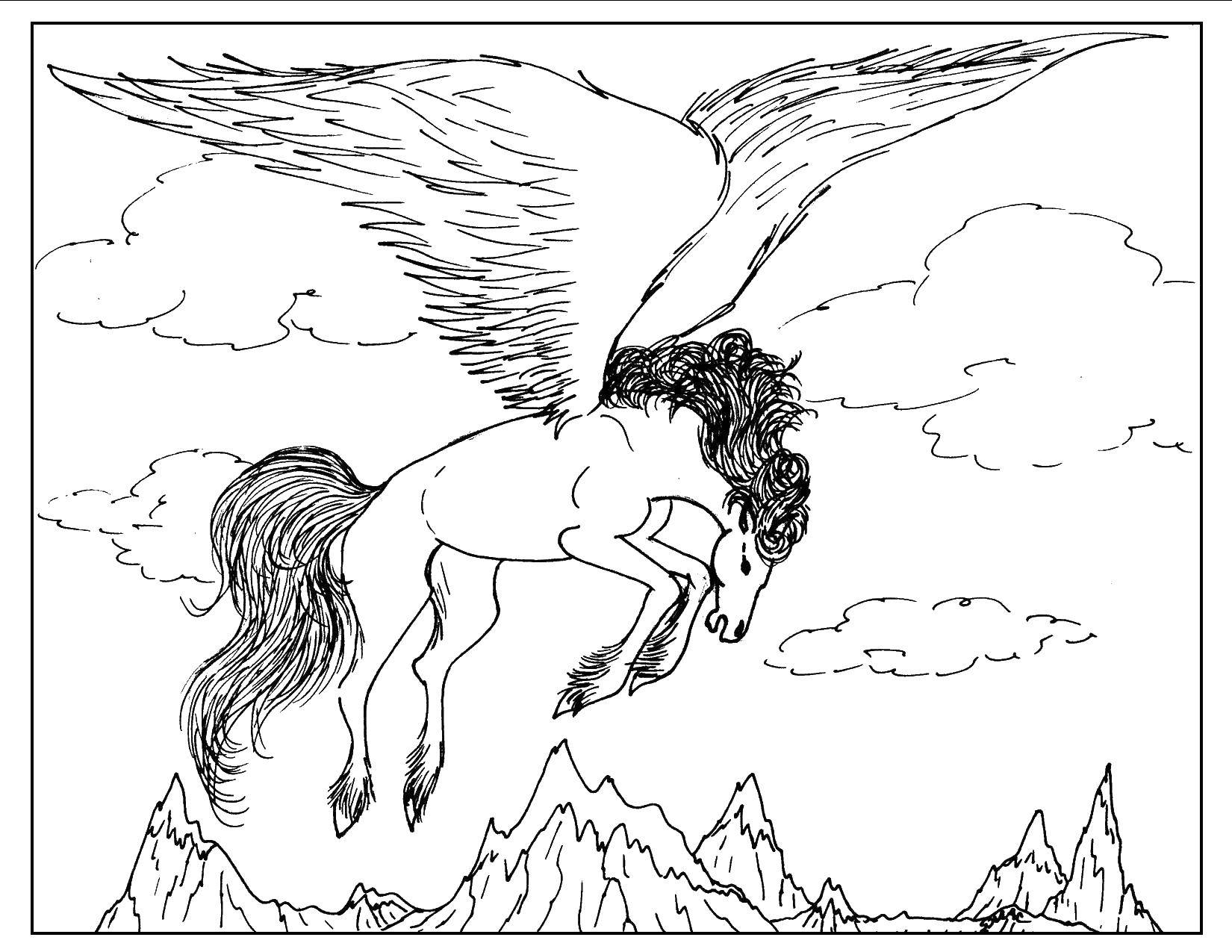 Название: Раскраска Пегас. Категория: раскраски. Теги: Лошадь, крылья, пегас.
