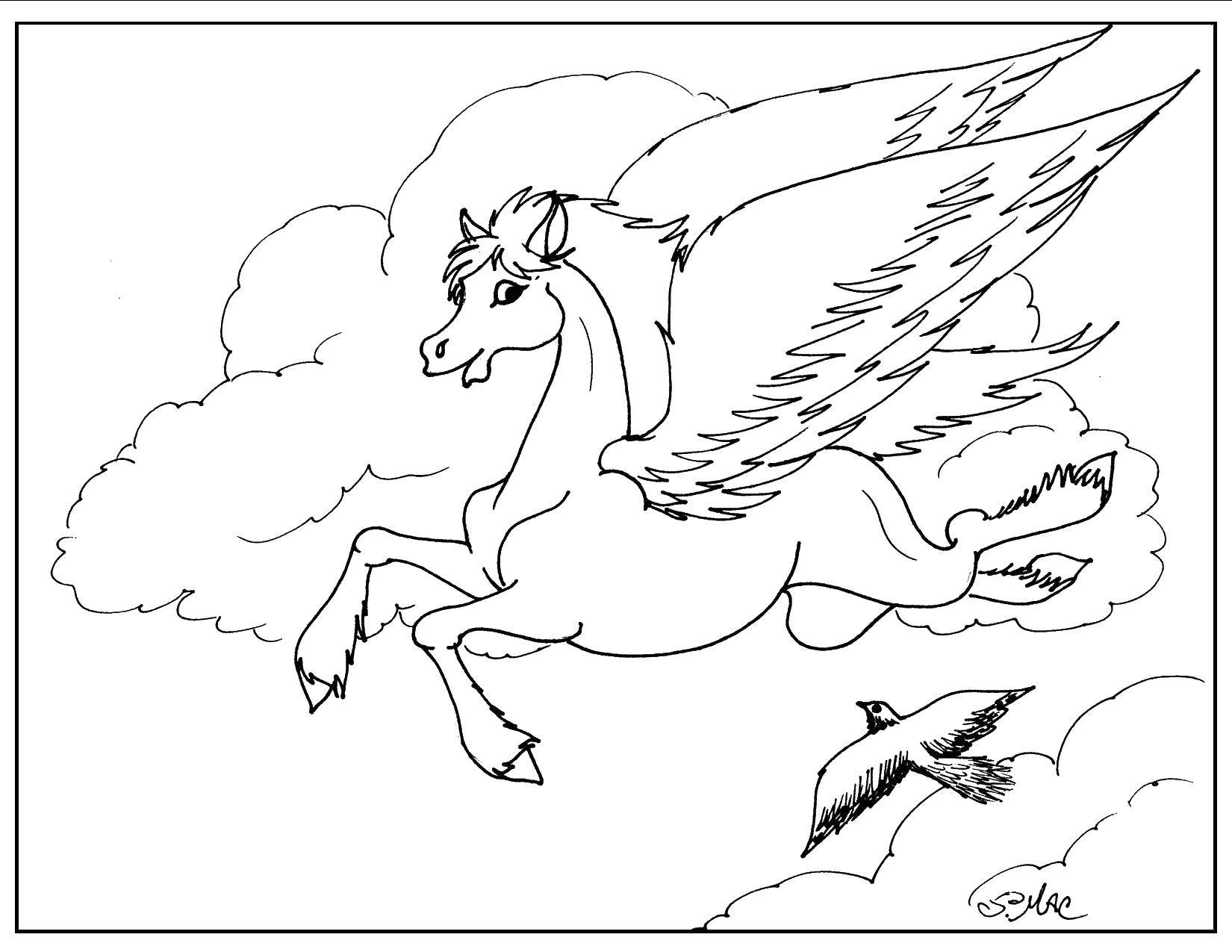 Название: Раскраска Пегас. Категория: раскраски. Теги: лошадь, крылья, птица.