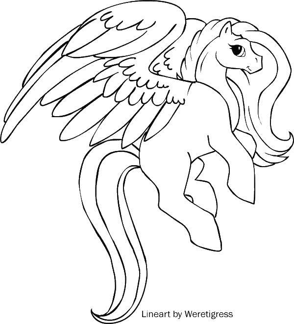Название: Раскраска Пони с крыльями. Категория: раскраски. Теги: пегасы, крылья, лошадь.