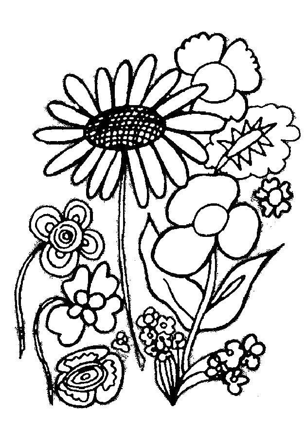 Coloring A variety of flowers. Category flowers. Tags:  flowers, plants, flowers.