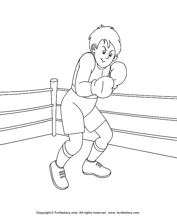 Название: Раскраска Ринг боксерский. Категория: бокс. Теги: Спорт, бокс.