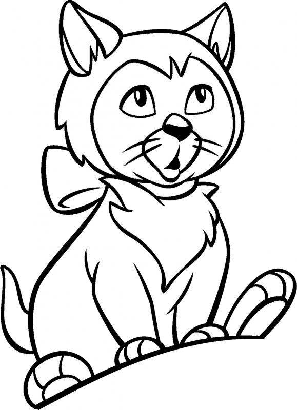 Coloring Picture kit. Category Pets allowed. Tags:  .