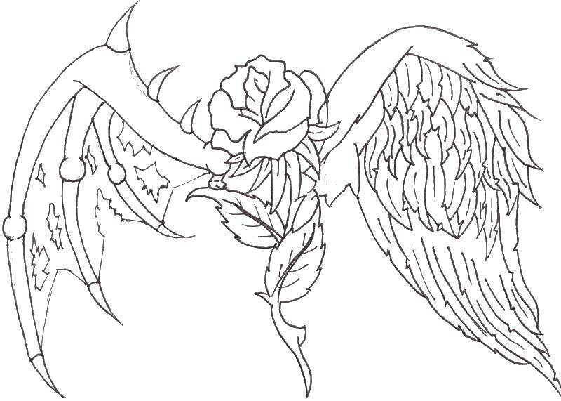 Название: Раскраска Роза с крыльями. Категория: раскраски. Теги: роза, крылья.